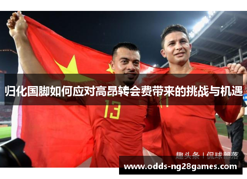归化国脚如何应对高昂转会费带来的挑战与机遇