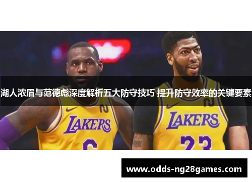 湖人浓眉与范德彪深度解析五大防守技巧 提升防守效率的关键要素