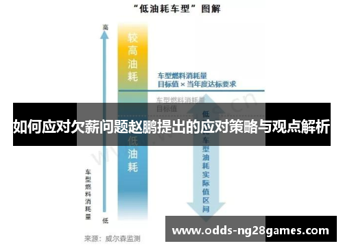如何应对欠薪问题赵鹏提出的应对策略与观点解析