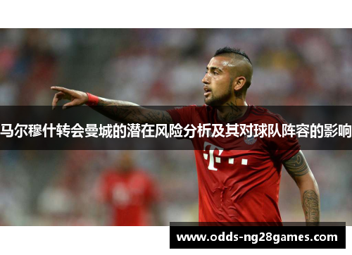 马尔穆什转会曼城的潜在风险分析及其对球队阵容的影响