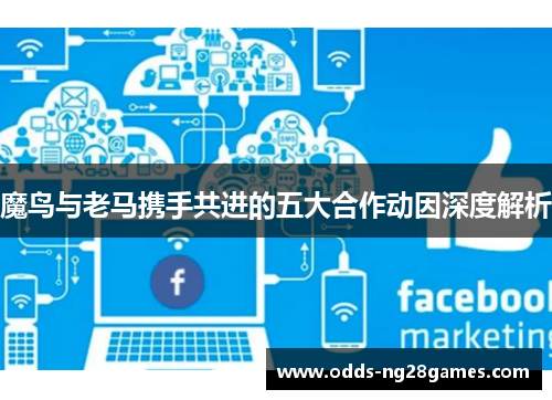 魔鸟与老马携手共进的五大合作动因深度解析