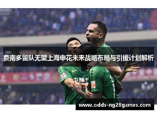 费南多留队无望上海申花未来战略布局与引援计划解析 费南多留队无望上海申花未来战略布局与引援计划解析