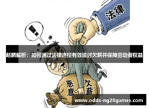 赵鹏解析：如何通过法律途径有效追讨欠薪并保障劳动者权益