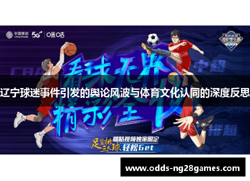 辽宁球迷事件引发的舆论风波与体育文化认同的深度反思