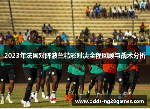 2023年法国对阵波兰精彩对决全程回顾与战术分析 2023年法国对阵波兰精彩对决全程回顾与战术分析