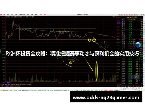 欧洲杯投资全攻略：精准把握赛事动态与获利机会的实用技巧