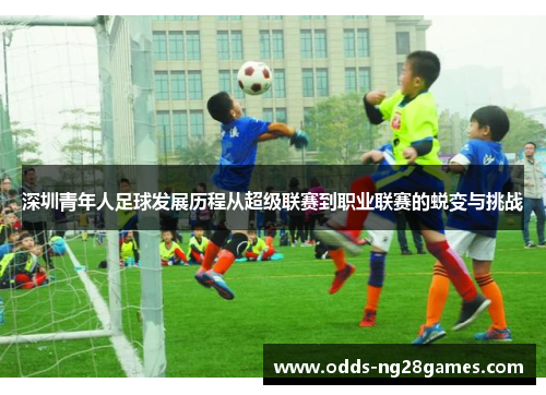 深圳青年人足球发展历程从超级联赛到职业联赛的蜕变与挑战