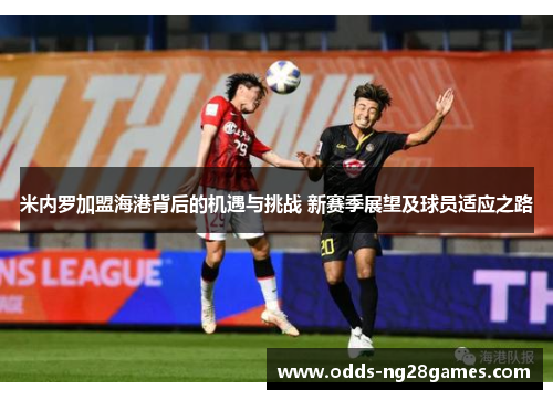 米内罗加盟海港背后的机遇与挑战 新赛季展望及球员适应之路