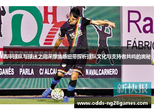 西甲球队与球迷之间深厚情感纽带探析球队文化与支持者共鸣的奥秘