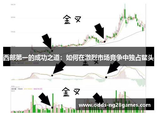 西部第一的成功之道：如何在激烈市场竞争中独占鳌头