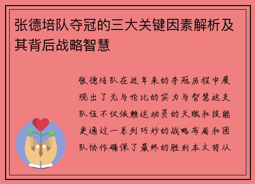 张德培队夺冠的三大关键因素解析及其背后战略智慧